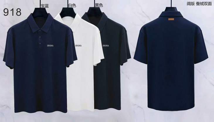 Picture of Zegna Polo Shirts Short _SKUZegnaM-3XL8qx91825229